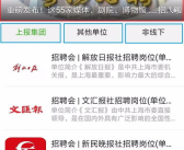 上海市人才招聘网官网,人才招聘网官网深度解析，助力职业发展新篇章