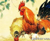 满面红光代表什么生肖,揭秘满面红光背后的生肖奥秘