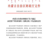 内蒙古会计信息网,会计从业人员的全面信息服务平台
