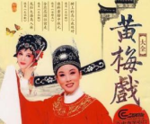 黄梅戏大全100集,传承经典，演绎百态人生