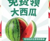 在线免费吃瓜,揭秘网络世界的免费娱乐盛宴