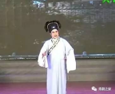 扬剧视频,传统艺术与现代自然的交融之旅